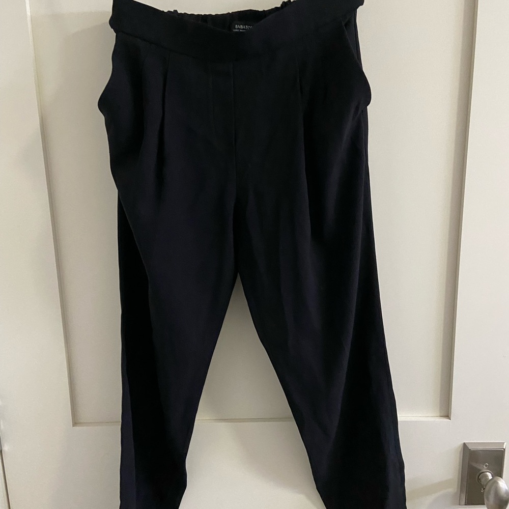 Babaton Cohen Pants